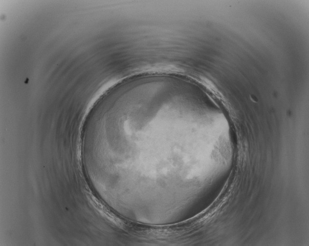 X0000066521232200603311746