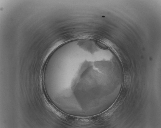 X0000066521235200603311746