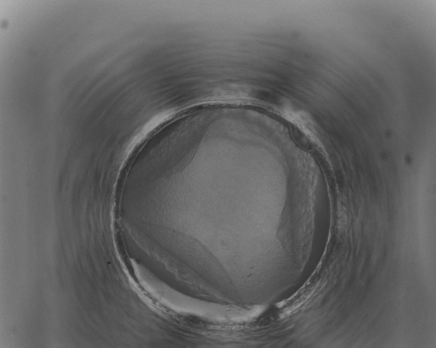 X0000066521237200603311746