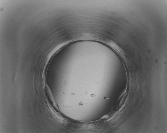 X0000066521238200603311746