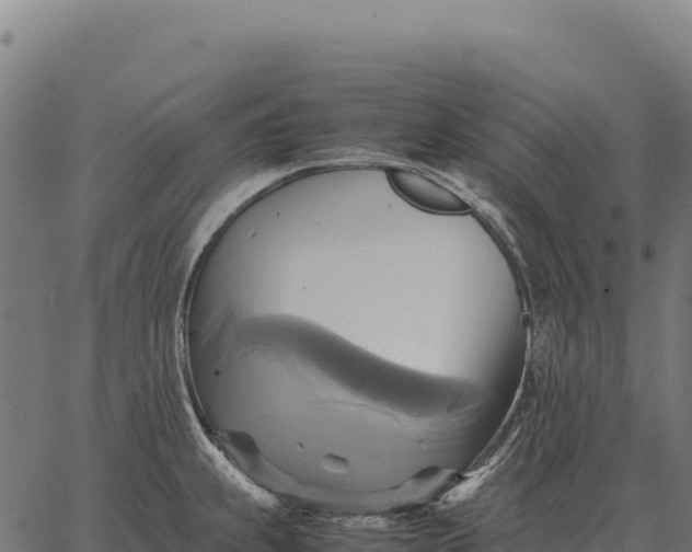 X0000066521239200603311746