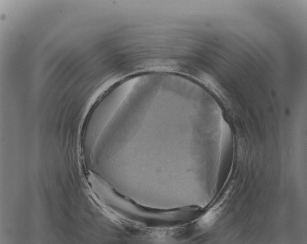 X0000066521240200603311746