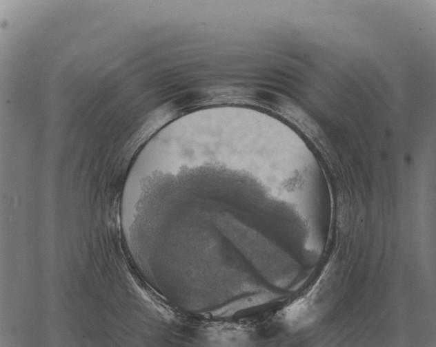 X0000066521241200603311746