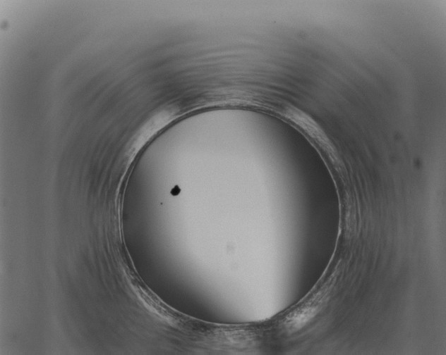 X0000066521242200603311746