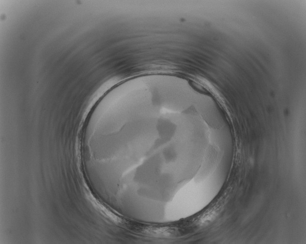 X0000066521243200603311746