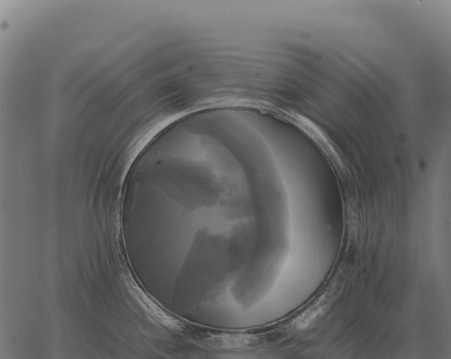 X0000066521244200603311746