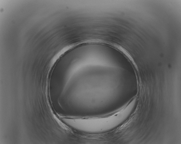 X0000066521245200603311746