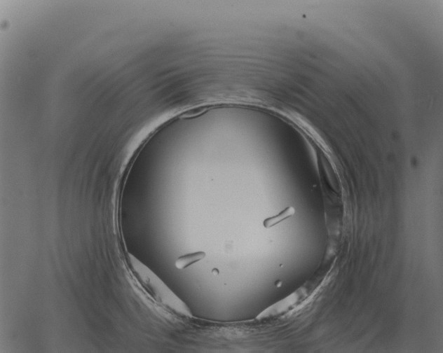 X0000066521246200603311746