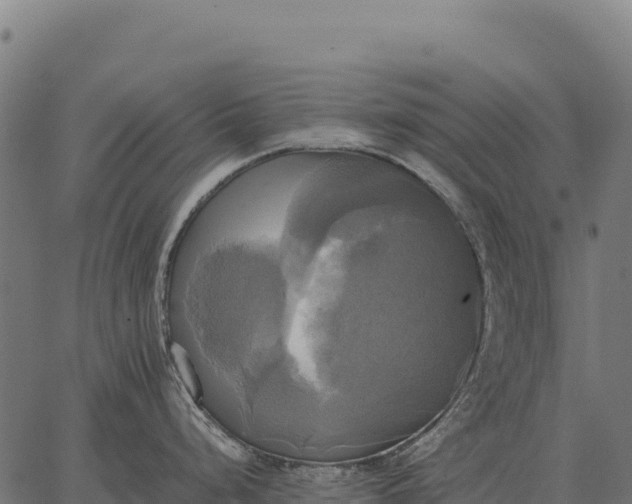 X0000066521248200603311746