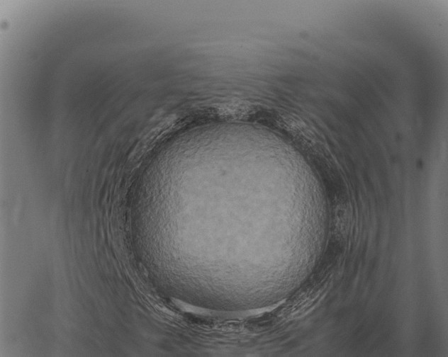 X0000066521249200603311746