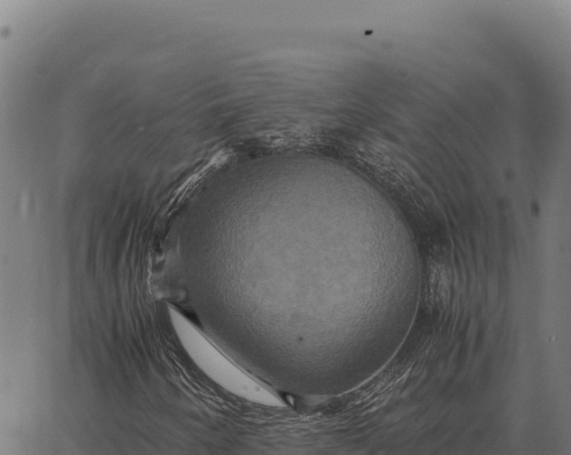 X0000066521250200603311746