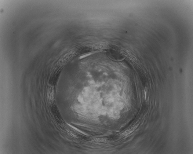 X0000066521251200603311746