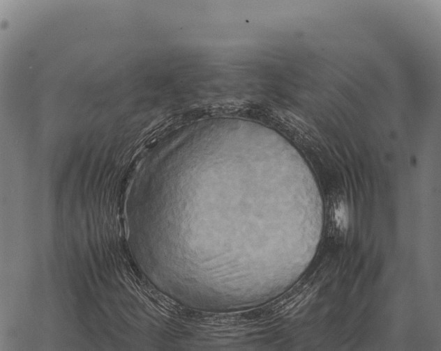 X0000066521252200603311746