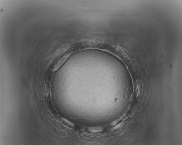 X0000066521253200603311746