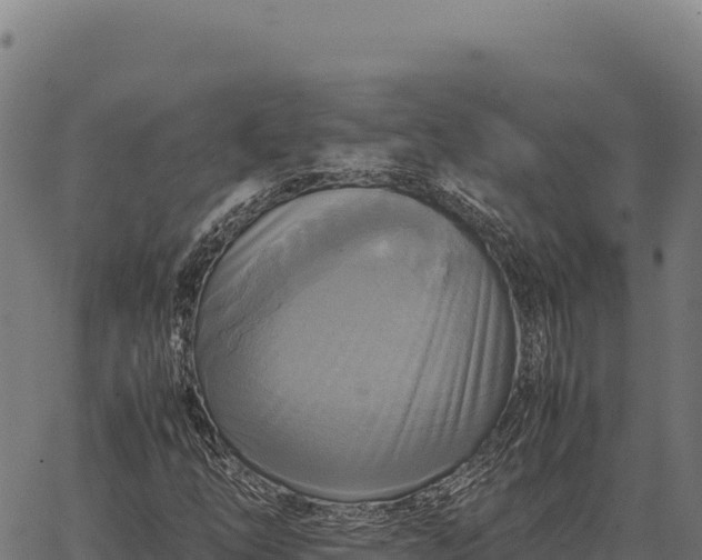 X0000066521254200603311746