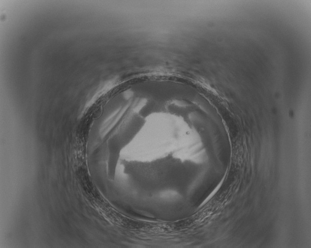 X0000066521255200603311746