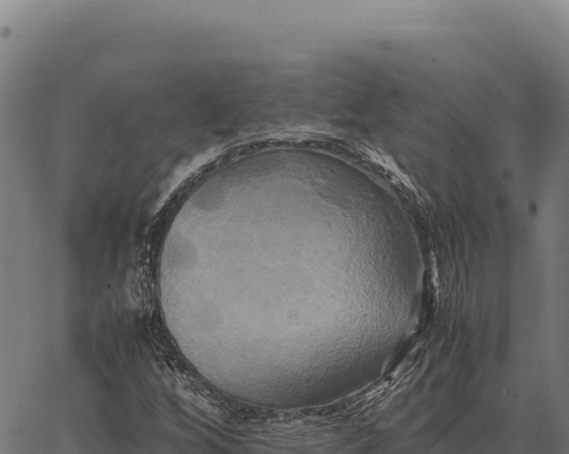 X0000066521256200603311746