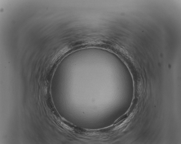 X0000066521257200603311745