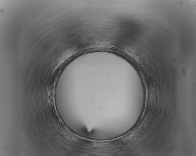 X0000066521258200603311745