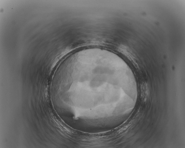 X0000066521260200603311745