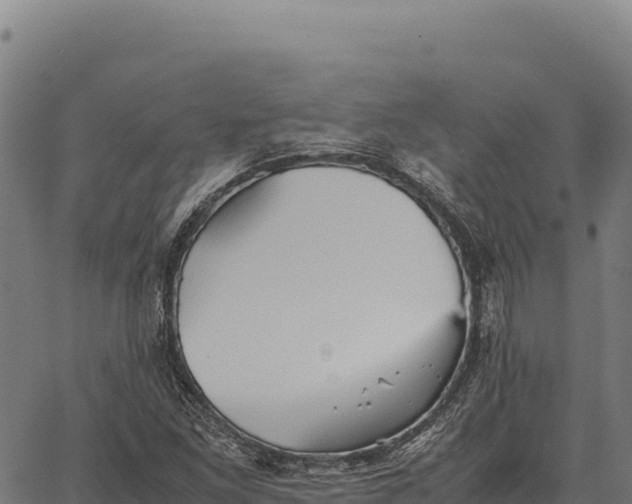 X0000066521261200603311745