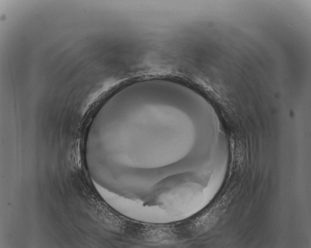 X0000066521262200603311745