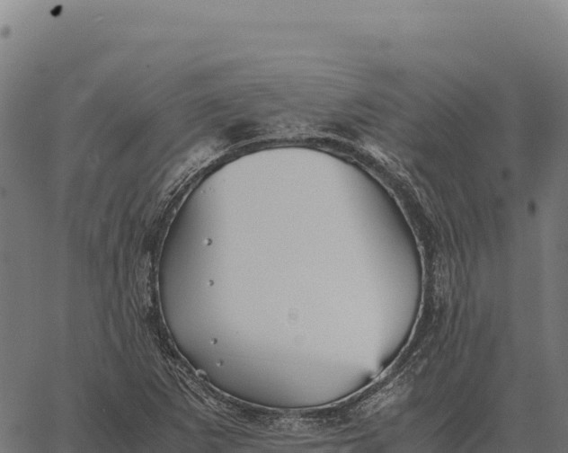 X0000066521265200603311745