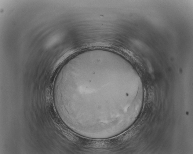 X0000066521266200603311745