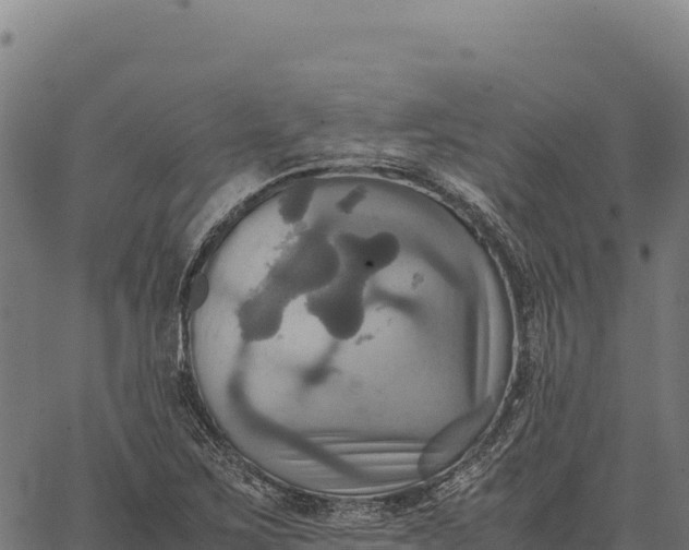 X0000066521267200603311745