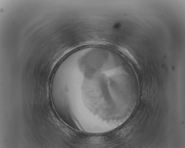 X0000066521268200603311745