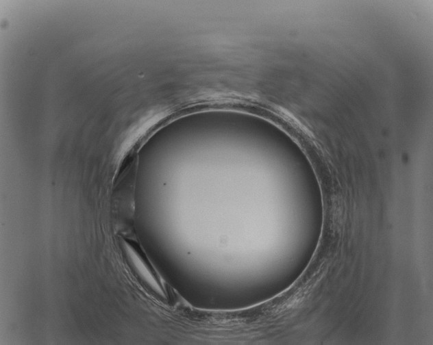 X0000066521269200603311745