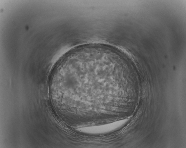 X0000066521271200603311745