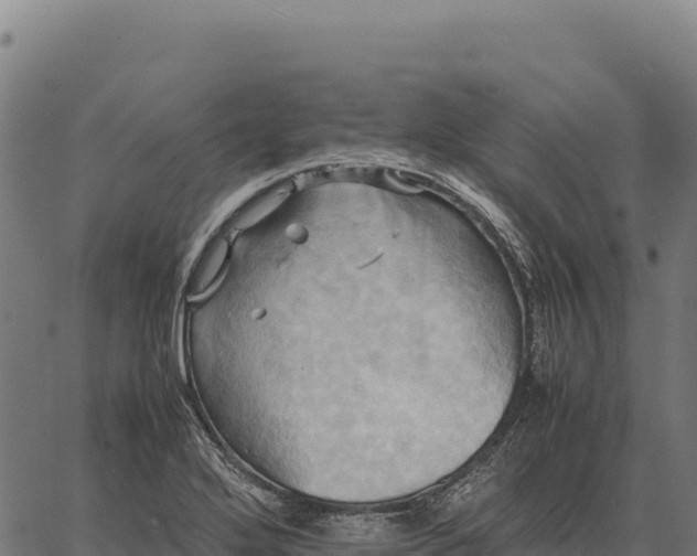 X0000066521272200603311745