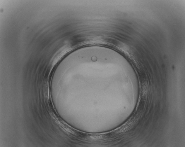 X0000066521274200603311745