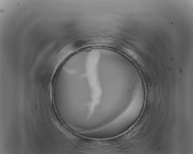 X0000066521275200603311745