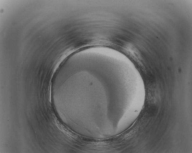 X0000066521276200603311745