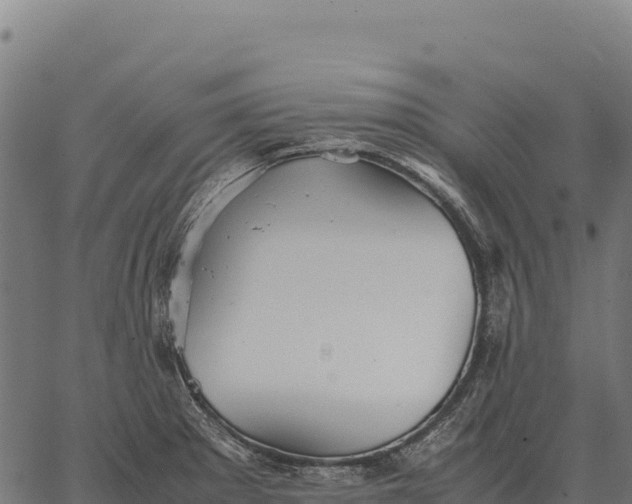 X0000066521281200603311745