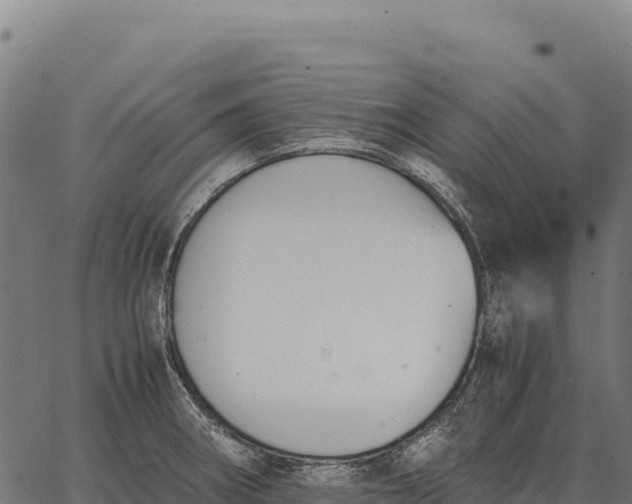 X0000066521282200603311745