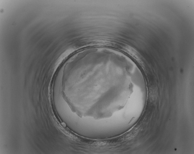 X0000066521283200603311745