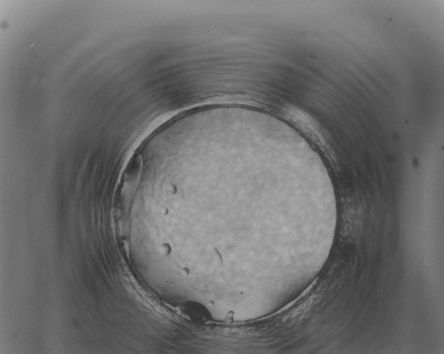 X0000066521284200603311745