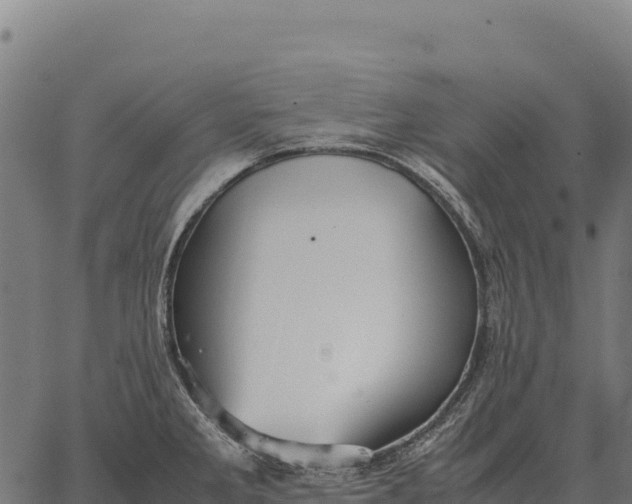 X0000066521285200603311745