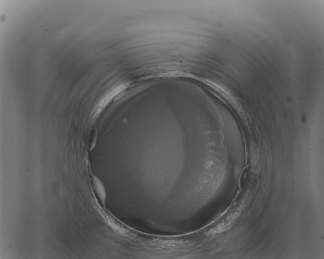 X0000066521289200603311745