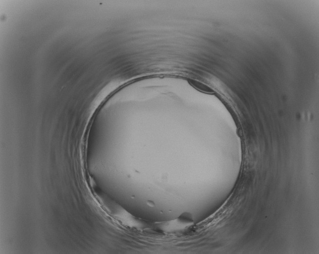 X0000066521291200603311745