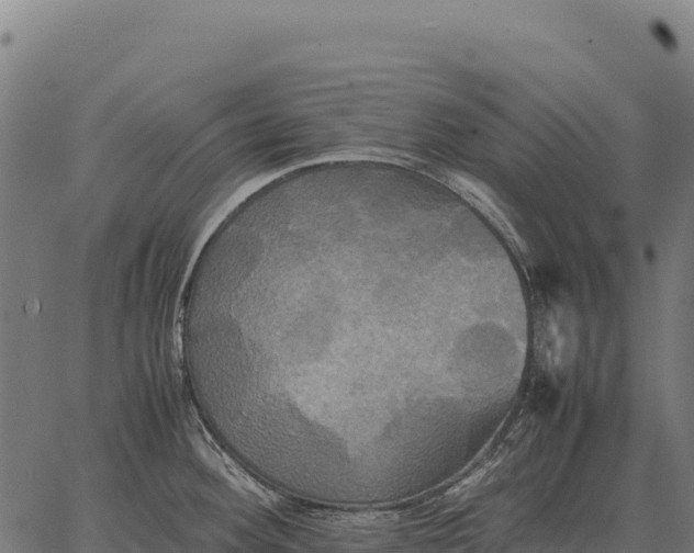 X0000066521292200603311745