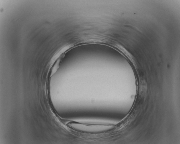 X0000066521293200603311745