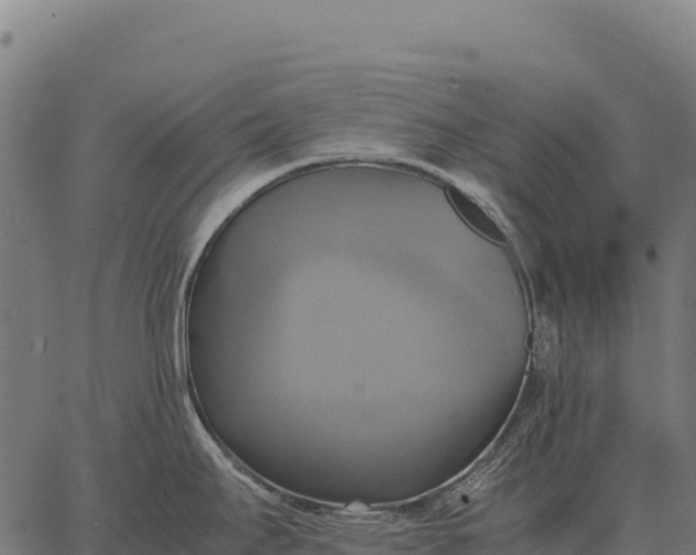 X0000066521295200603311745