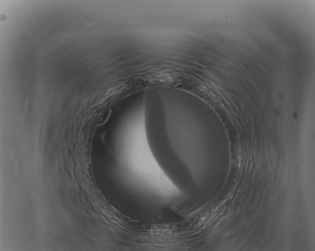 X0000066521297200603311744