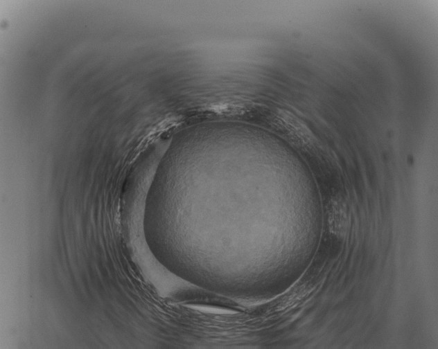 X0000066521298200603311744