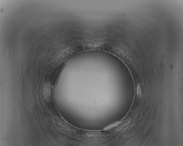 X0000066521299200603311744