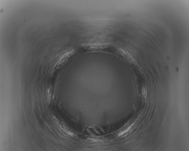 X0000066521300200603311744